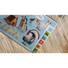 Dorling Kindersley Verlag Erstes Lernen. In der Natur первое обучение. На природе