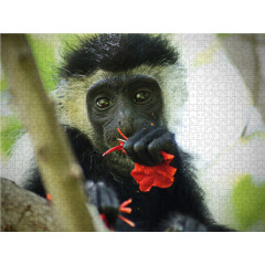 CALVENDO Puzzle CALVENDO Puzzle Zeit fur... afrikanische Weisheiten und Sprichworte Пазл CALVENDO Puzzle Time for... Африканская мудрость и пословицы