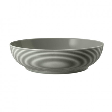 Seltmann Weiden Seltmann Weiden Beat Perlgrau Foodbowl Schale 25 cm Seltmann Weiden Beat жемчужно-серая миска 25 см