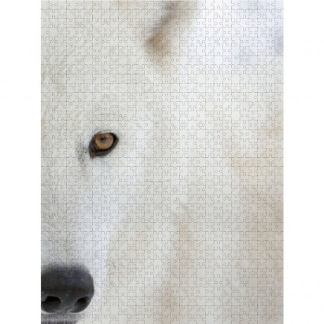 CALVENDO Puzzle CALVENDO Puzzle Emotionale Momente: Der Wolf. Пазл CALVENDO Пазл Эмоциональные моменты: Волк.