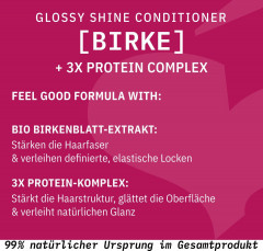SANTE GLOSSY SHINE Conditioner, 150 ml, Санте Кондиционер Glossy Shine для гладкости, облегчения расчёсывания и блеска волос, 150 мл