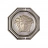 Rosenthal meets Versace Rosenthal Versace Medusa Lumiere Haze Ascher Glas grau d: 13 cm Пепельница Rosenthal Versace Medusa Lumiere Haze стекло серое d: 13 см