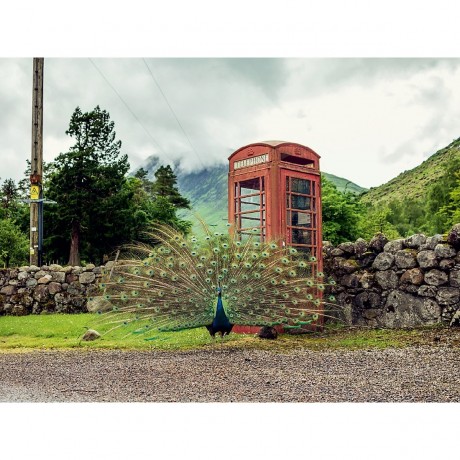 CALVENDO Puzzle CALVENDO Puzzle Dalness road Пазл CALVENDO Puzzle Далнесс дорога