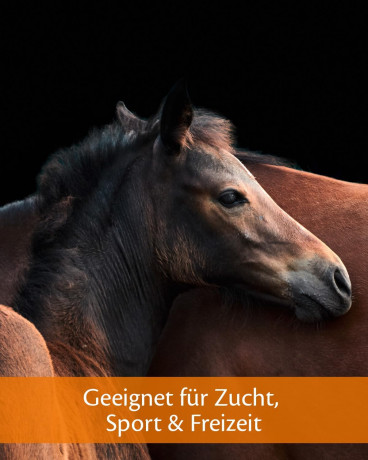 Набор 2 шт х 1000 мл Equistro Haemolytan 400 Эквистро Жидкая добавка для лошадей в условиях сильного стресса