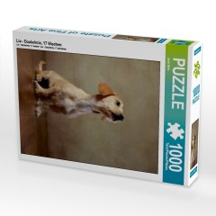 CALVENDO Puzzle CALVENDO Puzzle Lio Пазл CALVENDO Puzzle Лев