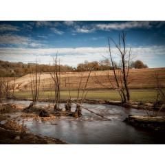 CALVENDO Puzzle CALVENDO Puzzle Am Flussufer Пазл CALVENDO Puzzle На берегу реки