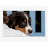 CALVENDO Puzzle CALVENDO Puzzle Emotionale Momente: Berner Sennenhund. \/ CH-Version Пазл CALVENDO Пазл Эмоциональные моменты: Бернский зенненхунд. \/ версия CH