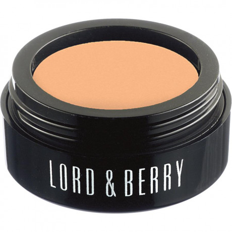 Lord & Berry Teint Flawless Poured Concealer Консилер, Porcelain / 2 g