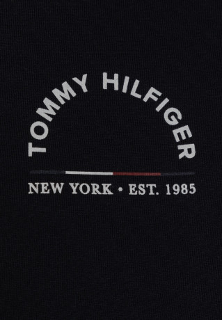 Tommy Hilfiger SHADOW HOODIE UNISEX Sweatshirt desert sky SHADOW HOODIE UNISEX Толстовка небо пустыни