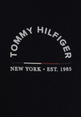 Tommy Hilfiger SHADOW HOODIE UNISEX Sweatshirt desert sky SHADOW HOODIE UNISEX Толстовка небо пустыни