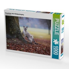CALVENDO Puzzle CALVENDO Puzzle Bengalkater beim Waldspaziergang Пазл CALVENDO Puzzle Бенгальский кот на прогулке в лесу