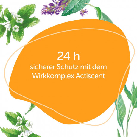 Alterra Deo Balsam Bio-Zitronenmelisse und Bio-Salbei 50ml, Альтерра Дезодорант-бальзам, мелисса и шалфей, натуральная косметика NATRUE, 50 мл