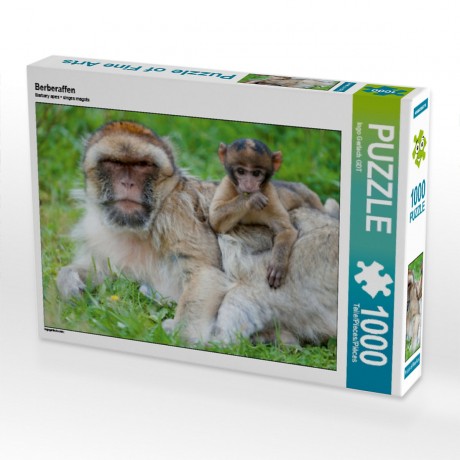 CALVENDO Puzzle CALVENDO Puzzle Berberaffen Пазл CALVENDO Пазл Варварские макаки