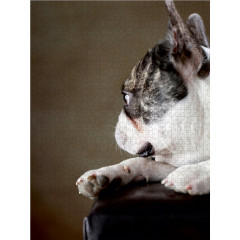 CALVENDO Puzzle CALVENDO Puzzle Prinz Пазл CALVENDO Пазл Принц