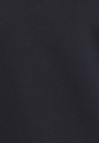 Tommy Hilfiger CREST  Sweatshirt desert sky КРЕСТ Толстовка небо пустыни