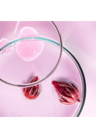 Shiseido SHISEIDO ULTIMUNE POWER INFUSING CONCENTRATE Serum refill SHISEIDO ULTIMUNE POWER INFUSING CONCENTRATE Сыворотка