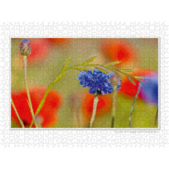 CALVENDO Puzzle CALVENDO Puzzle Emotionale Momente: Die Blumenwiese. \/ CH-Version Пазл CALVENDO Пазл Эмоциональные моменты: Цветочная поляна. \/ версия CH