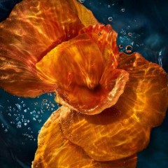 Biotherm Blue Therapy Revitalize Night Cream, Биотерм Крем ночной для лица антивозрастной преображающий, 50 мл