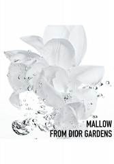 DIOR DIOR HYDRA LIFE AQUA SERUM INTENSIVE FEUCHTIGKEIT Serum transparent DIOR HYDRA LIFE AQUA SERUM ИНТЕНСИВНОЕ УВЛАЖНЕНИЕ Сыворотка