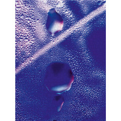 CALVENDO Puzzle CALVENDO Puzzle Big Blue Пазл CALVENDO Puzzle Big Blue