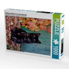 CALVENDO Puzzle CALVENDO Puzzle Niedliches Katzchen mit rotem Weinlaub Пазл CALVENDO Puzzle Милый котенок с листьями красного винограда