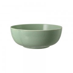 Seltmann Weiden Seltmann Weiden Beat Salbeigrun Foodbowl Schale 20 cm Seltmann Weiden Зеленая миска Beat sage 20 см