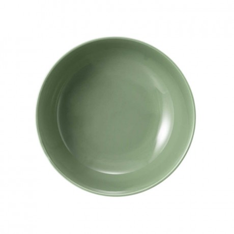Seltmann Weiden Seltmann Weiden Beat Salbeigrun Foodbowl Schale 20 cm Seltmann Weiden Зеленая миска Beat sage 20 см
