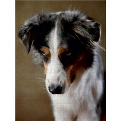 CALVENDO Puzzle CALVENDO Puzzle Dakota Пазл CALVENDO Пазл Дакота