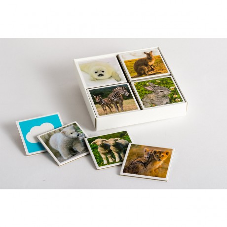 Anaconda Verlag Tierkinder-Memo Памятка детям о животных