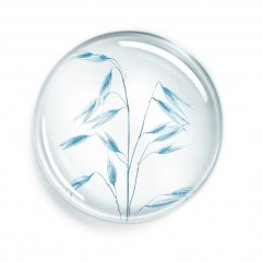 Annayake Soin corps hydratation continue  Гидратация корпуса Soin продолжается