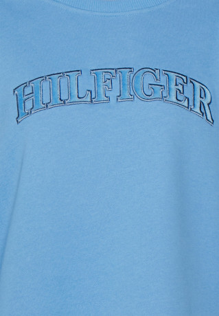 Tommy Hilfiger RLX TONAL O-NK  Sweatshirt sky cloud RLX TONAL O-NK Толстовка небо облако