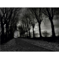 CALVENDO Puzzle CALVENDO Puzzle Die Route der Kirche Пазл CALVENDO Puzzle Путь церкви