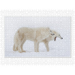 CALVENDO Puzzle CALVENDO Puzzle Emotionale Momente: Polarwolfe. \/ CH-Version Пазл CALVENDO Пазл Эмоциональные моменты: арктические волки. \/ версия CH