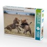 CALVENDO Puzzle CALVENDO Puzzle Emotional Moments: Big Cats of the World \/ UK-Version Пазл CALVENDO Puzzle Emotional Moments: Big Cats of the World / UK version