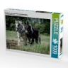 CALVENDO Puzzle CALVENDO Puzzle Feldarbeit mit einem Pferd und einem Esel Пазл CALVENDO Puzzle Полевые работы с лошадью и ослом