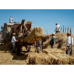 CALVENDO Puzzle CALVENDO Puzzle Herstellung von Stroh Пазл CALVENDO Puzzle Изготовление из соломы