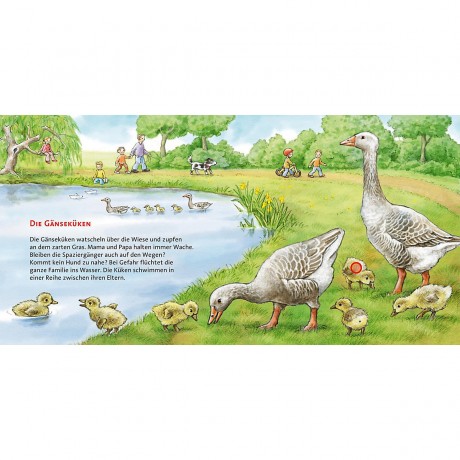 Carlsen Verlag Hor mal: Die Tierkinder Слушайте: животные дети