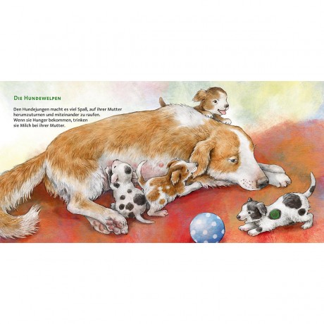 Carlsen Verlag Hor mal: Die Tierkinder Слушайте: животные дети