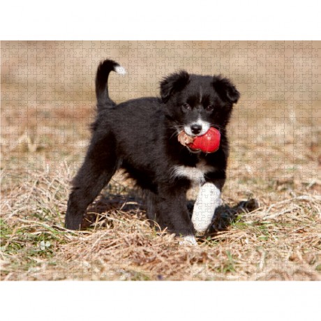 CALVENDO Puzzle CALVENDO Puzzle Meins Пазл CALVENDO Puzzle Mine