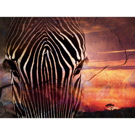 CALVENDO Puzzle CALVENDO Puzzle Emotionale Momente: African Dreams Пазл CALVENDO Puzzle Emotional Moments: African Dreams