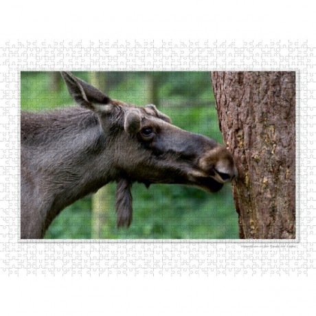 CALVENDO Puzzle CALVENDO Puzzle Emotionale Momente: Europaischer Elch Part II Пазл CALVENDO Puzzle Emotional Moments: European Moose Part II