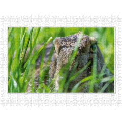 CALVENDO Puzzle CALVENDO Puzzle Emotional Moments: Die Augen der Tiere. UK-Version Пазл CALVENDO Puzzle Emotional Moments: Глаза животных. версия для Великобритании