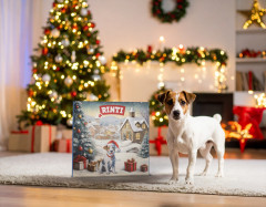 RINTI Chicko Adventskalender, адвент-календарь с лакомствами для собак из птицы, 24 порции, 170 г
