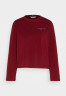 Tommy Hilfiger MINI LOGO Long sleeved top rouge MINI LOGO Топ с длинными рукавами румяна