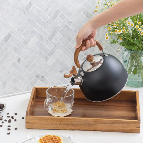 FeelGlad FeelGlad Wasserkocher 2.5 Liter Wasserkocher Retro,Teekessel fur Herd und Grill Чайник FeelGlad 2,5 литра, ретро-чайник, чайник для плиты и гриля