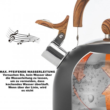 FeelGlad FeelGlad Wasserkocher 2.5 Liter Wasserkocher Retro,Teekessel fur Herd und Grill Чайник FeelGlad 2,5 литра, ретро-чайник, чайник для плиты и гриля