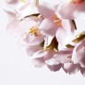 Shiseido Illuminating Micro-Spot Serum  Осветляющая микроточечная сыворотка