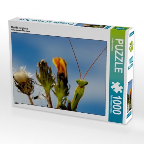 CALVENDO Puzzle CALVENDO Puzzle Mantis religiosa Пазл CALVENDO Puzzle Mantis religiosa
