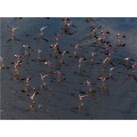 CALVENDO Puzzle CALVENDO Puzzle Emotionale Momente: Der Lake Elementaita in Kenia. Пазл CALVENDO Пазл Эмоциональные моменты: Озеро Элементайта в Кении.