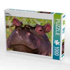 CALVENDO Puzzle CALVENDO Puzzle Nilpferd Пазл CALVENDO Пазл бегемот